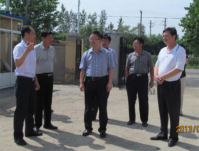 民盟辽宁省委领导到盘锦开展农村环境建设专题调研
